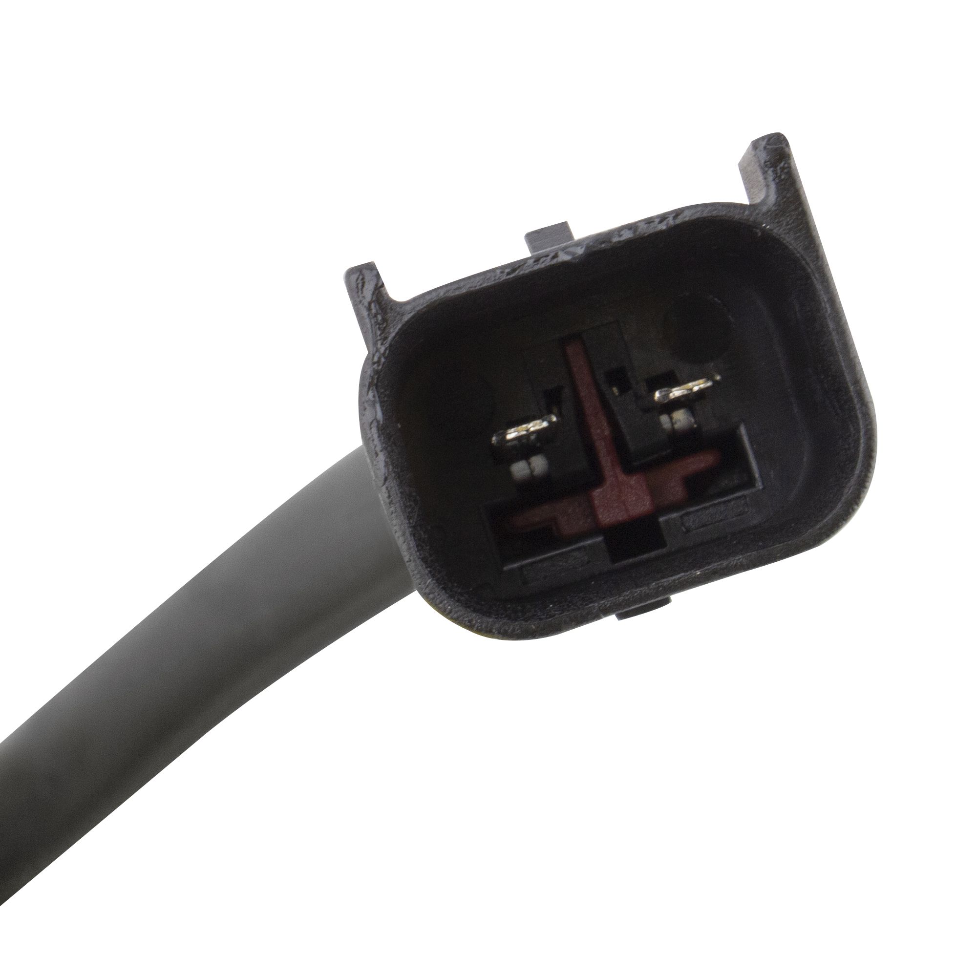 BX00300199-1_6 BX00300199-1_6