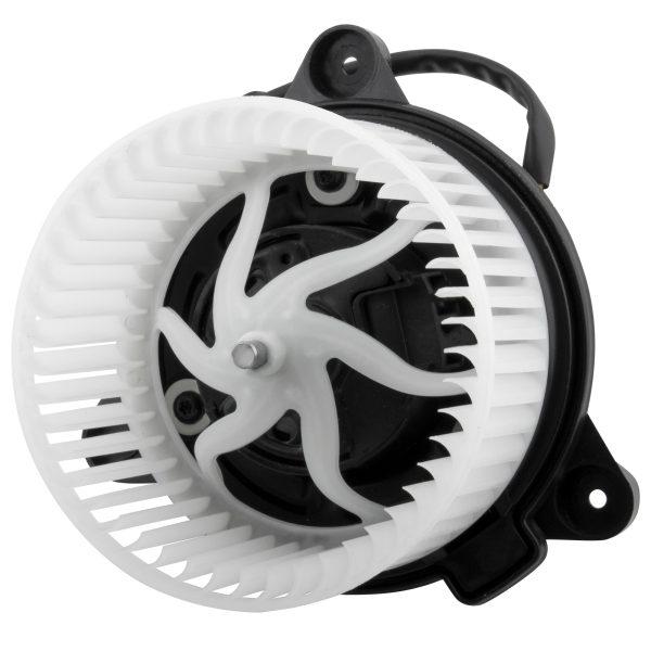 BX00700013-1-2 BX00700013-1-2