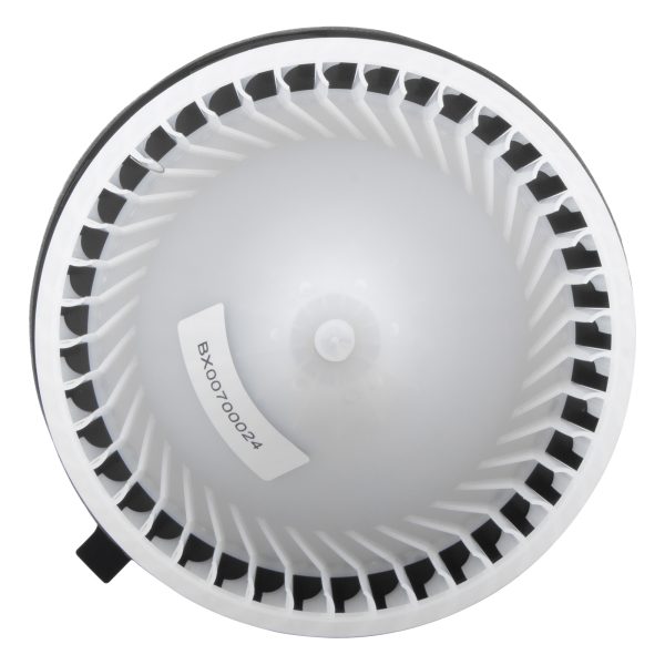 BX00700024-1-2 BX00700024-1-2