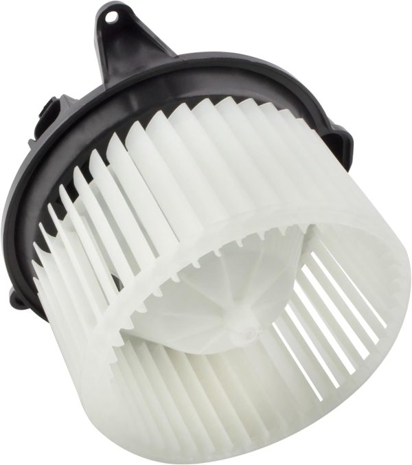 BX00700029-1-5 BX00700029-1-5