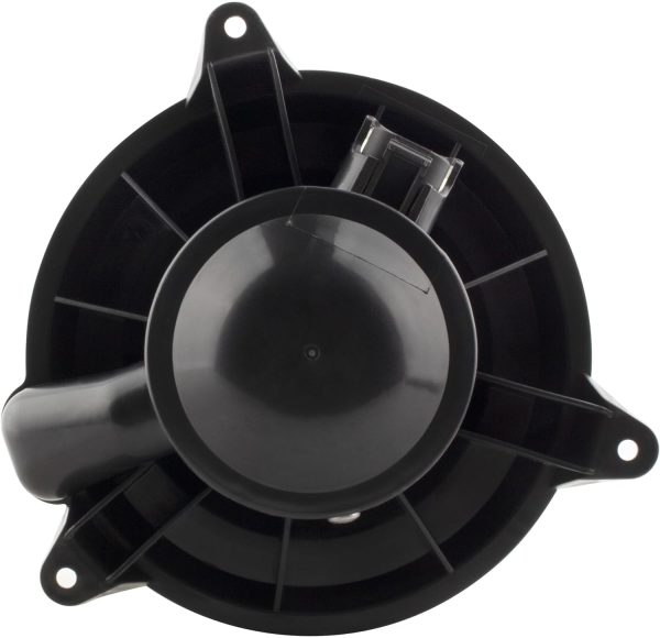 BX00700029-1-7 BX00700029-1-7