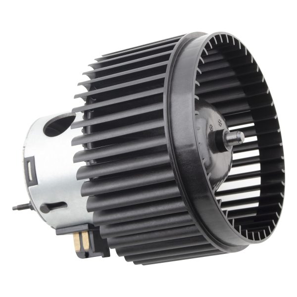 BX00700039-1-2 BX00700039-1-2