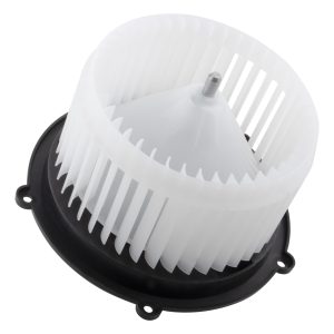 BOXI Climate Control Blower Motor BX00700048-1