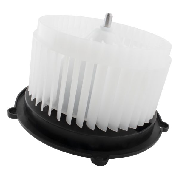 BX00700048-1-5 BX00700048-1-5