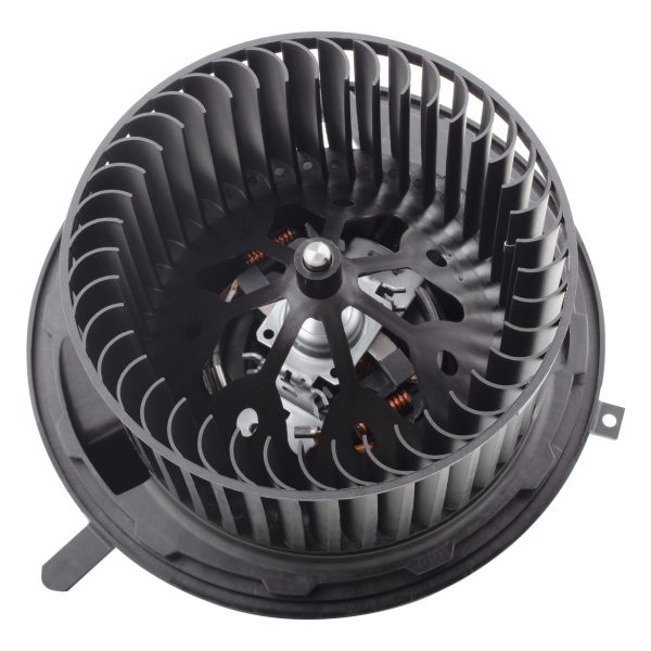 BX00700052-1-1 BX00700052-1-1