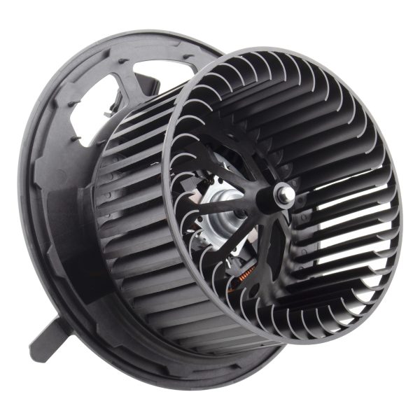 BX00700052-1-2 BX00700052-1-2