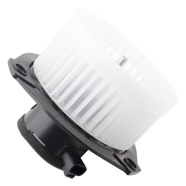 BX00700054-1-3 BX00700054-1-3