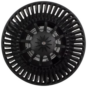 BOXI Climate Control Blower Motor BX00700063-1