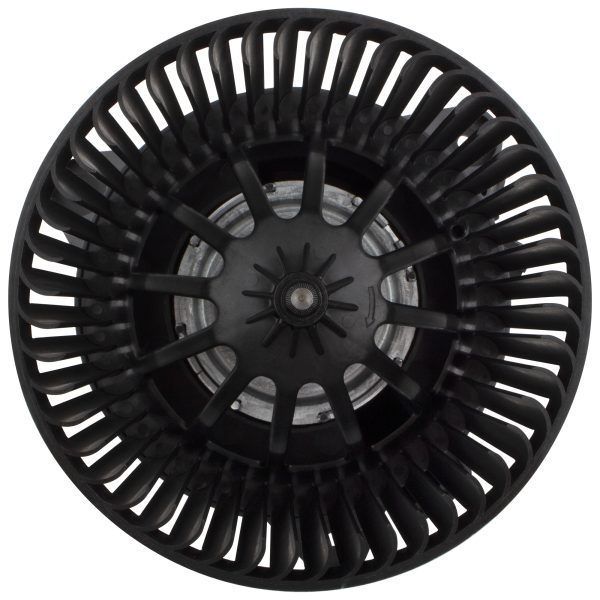 BX00700063-1_1 BX00700063-1_1