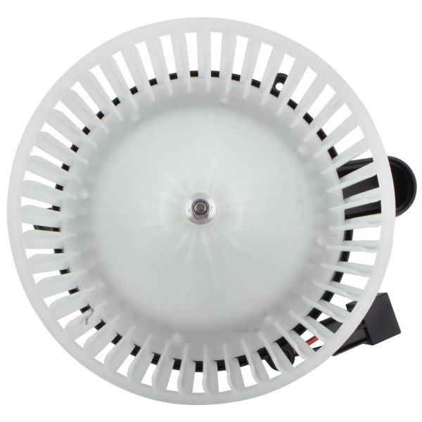 BX00700078-1_1 BX00700078-1_1