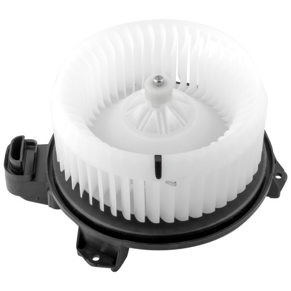 BX00700079-1-2 BX00700079-1-2