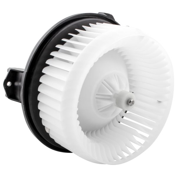 BX00700079-1-3 BX00700079-1-3