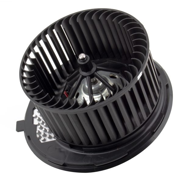 BX00700084-1-2 BX00700084-1-2