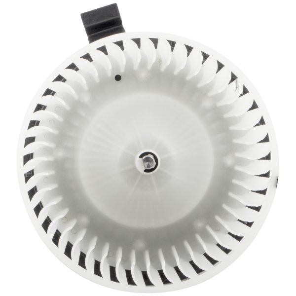 BX00700087-1-1 BX00700087-1-1