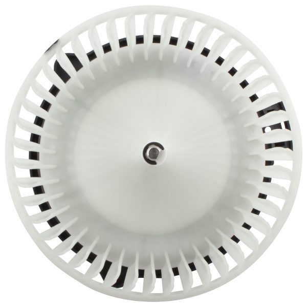 BX00700117-1_1 BX00700117-1_1