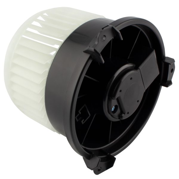 BX00700125-1-2 BX00700125-1-2