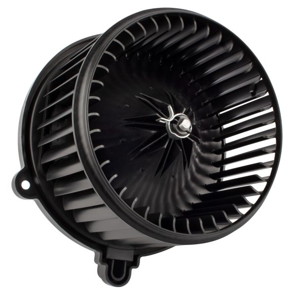 BX00700126-1-2 BX00700126-1-2