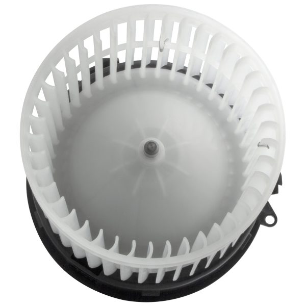 BX00700128-1_5 BX00700128-1_5