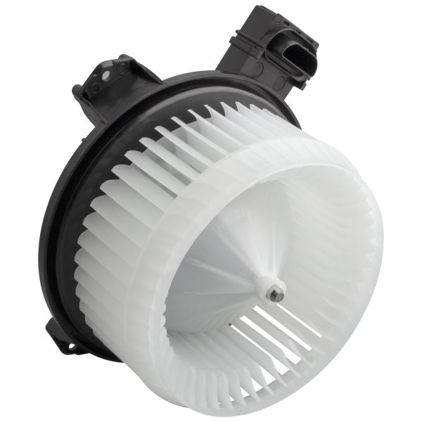 BX00700131-1_2 BX00700131-1_2