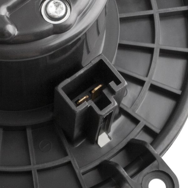 BX00700142-1_7 BX00700142-1_7