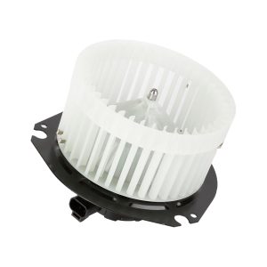 BOXI Climate Control Blower Motor BX00700154-1