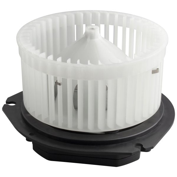 BX00700166-1_1 BX00700166-1_1