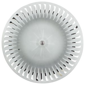 BOXI Climate Control Blower Motor BX00700182-1