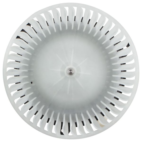 BX00700182-1_1 BX00700182-1_1