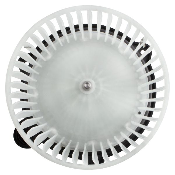 BX00700189-1_1 BX00700189-1_1