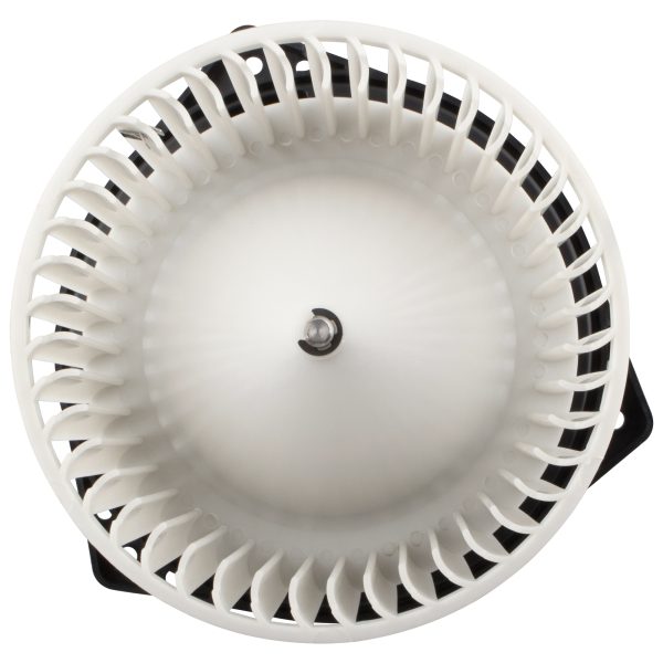 BX00700202-1_5 BX00700202-1_5