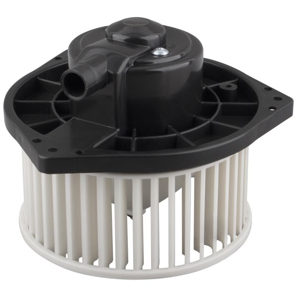 BX00700202-1_6 BX00700202-1_6