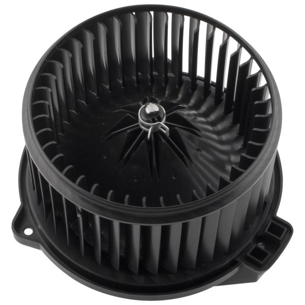 BX00700204-1_2 BX00700204-1_2