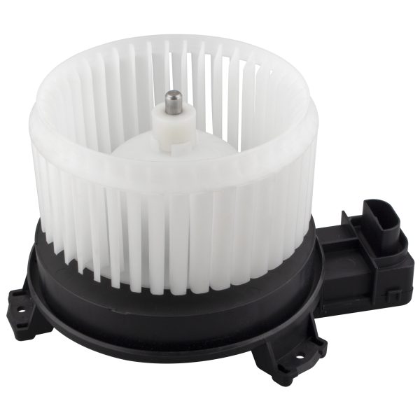 BX00700205-1_6 BX00700205-1_6