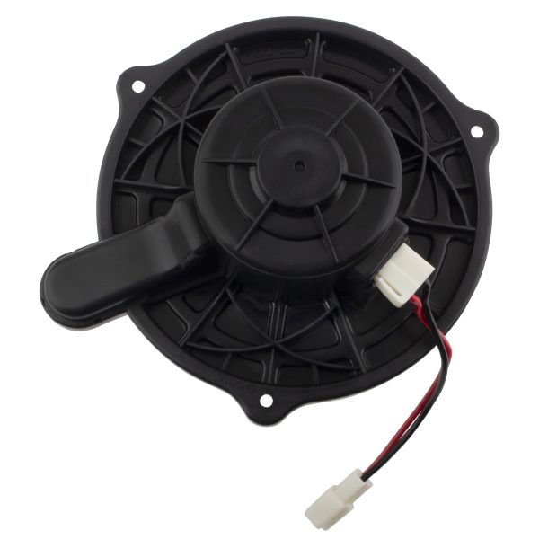 BX00700210-1_2 BX00700210-1_2