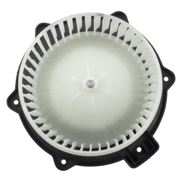 BX00700211-1_1 BX00700211-1_1