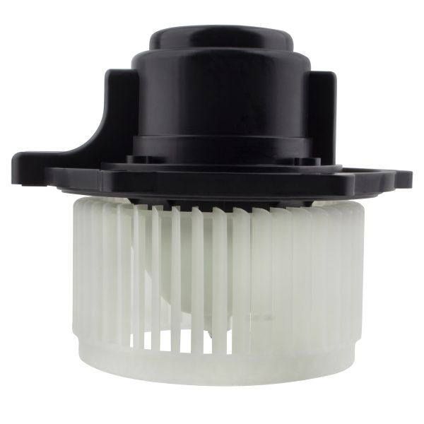 BX00700211-1_3 BX00700211-1_3