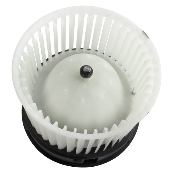 BX00700217-1_4 BX00700217-1_4