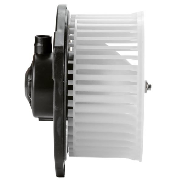 BX00700218-1_2 BX00700218-1_2