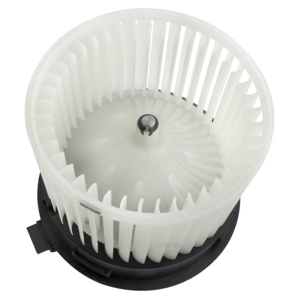 BX00700219-1_4 BX00700219-1_4