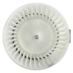 BOXI Climate Control Blower Motor BX00700226-1