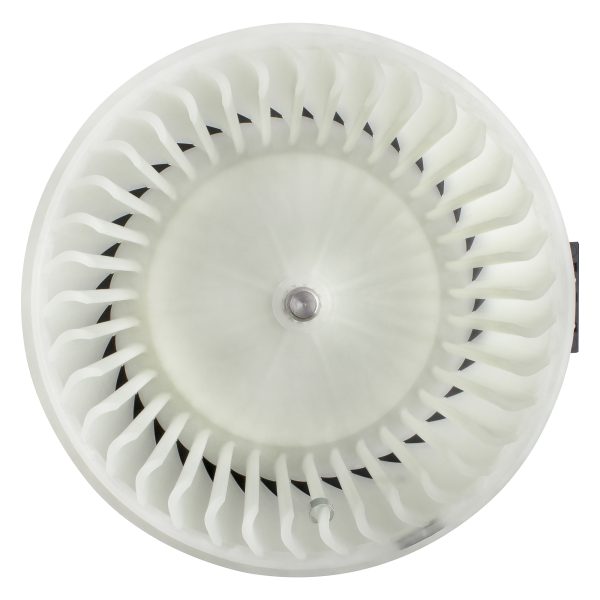 BX00700226-1_1 BX00700226-1_1