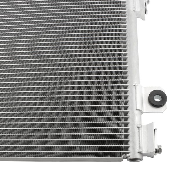 BX00800001-1_6 BX00800001-1_6