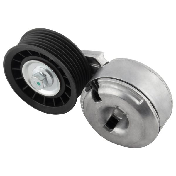 BX03900031-1_1 BX03900031-1_1