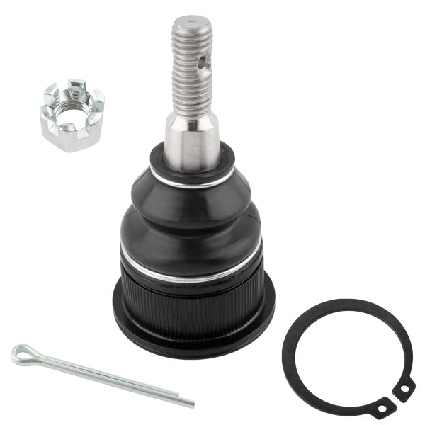 BXM00031-8-6 BXM00031-8-6